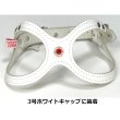 画像6: 「パーツナンバー0057 ブロッサムクリスタル ゴールド台座」buddybelt customize buddybelts customs バディーベルト正規輸入代理店 正規店 (6)