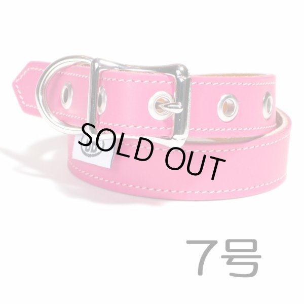 画像1: 犬の首輪 7号BBマッチングカラー ホットピンク・HOT PINK 犬 犬用 ペット ドッグ バディーベルト正規輸入代理店 正規店 (1)