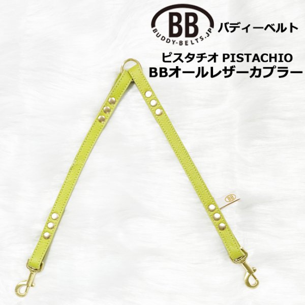 画像1: BB2頭引きオールレザーカプラーSサイズ ピスタチオ・Pistachio (1)