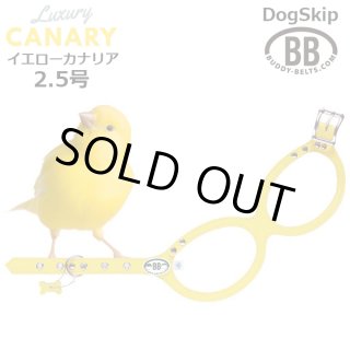 バディベルトカナリア1号ハーネス リード セット カナリア【Canary】 – バディーベルトジャパン