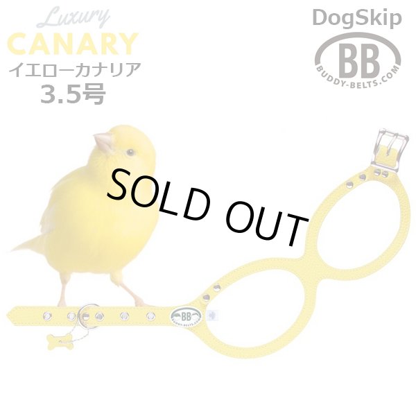 画像1: バディーベルト ハーネス 3.5号 カナリア（Canary） buddy-belts buddybelts (1)
