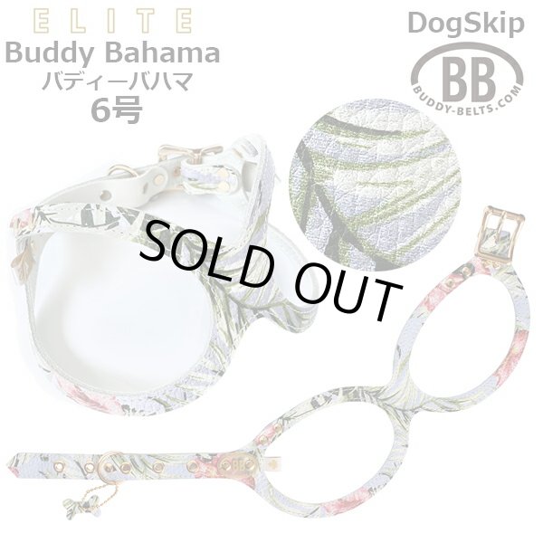 画像1: バディーベルト ハーネス 6号 バディーバハマ Buddy Bahama 中型犬 ペット レザー 本革 BUDDYBELT バディベルト 犬用 胴輪 リングハーネス メガネハーネス ボディベルト バディーベルト正規輸入代理店 正規店 (1)