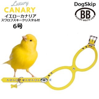 バディーベルト・バディベルトのカナリア（Canary）
