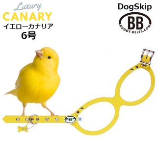 バディーベルト・バディベルトのカナリア（Canary）