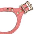 画像5: バディーベルトハーネス 6号 コーラルドリーム・CoralDream・スワロフスキークリスタル付 (5)
