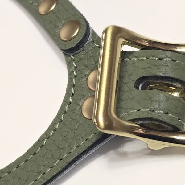 画像2: バディーベルトハーネス 7号 セージ・Sage (2)