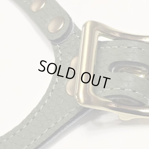 画像2: バディーベルトハーネス 8号 セージ・Sage (2)