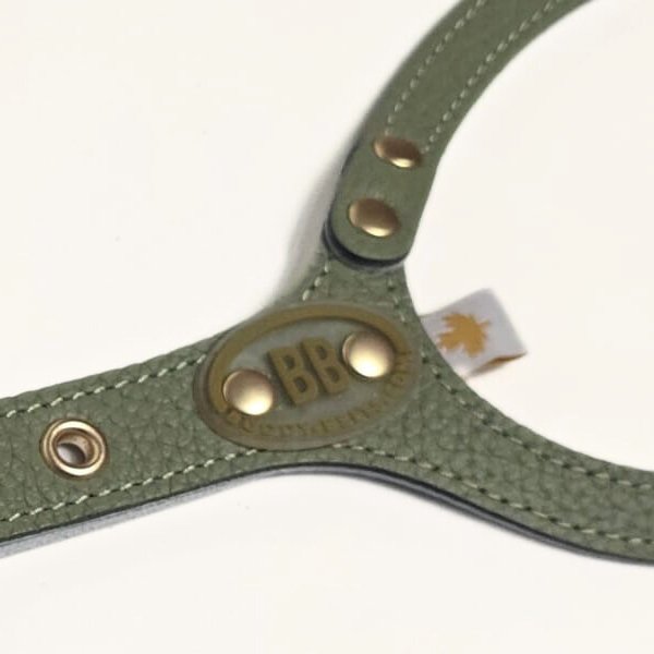 画像4: バディーベルトハーネス 7号 セージ・Sage (4)