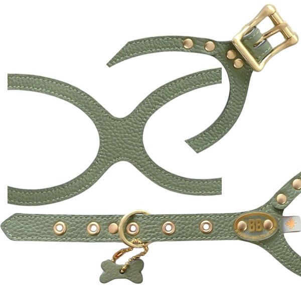 画像5: バディーベルトハーネス 7号 セージ・Sage (5)