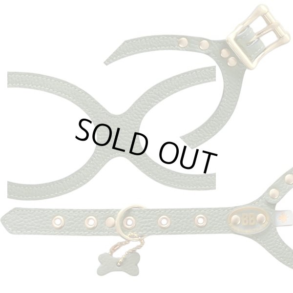 画像5: バディーベルトハーネス 8号 セージ・Sage (5)