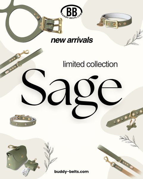 画像6: バディーベルトハーネス 6号 セージ・Sage・スワロフスキークリスタル付 (6)