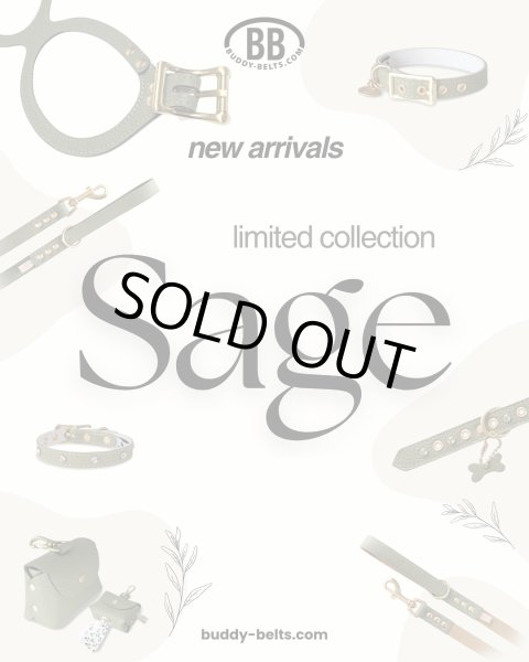 画像5: BB 首輪 セージ Sage 6号 (5)