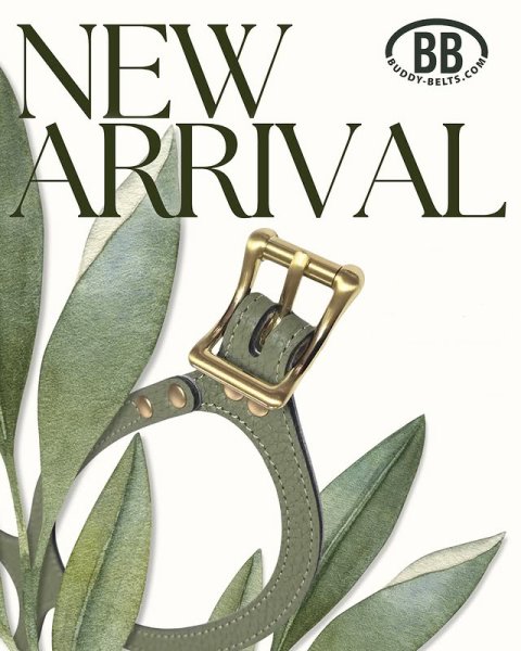 画像7: バディーベルトハーネス 6号 セージ・Sage・スワロフスキークリスタル付 (7)