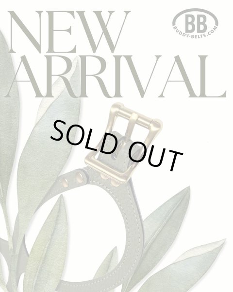 画像6: BB 首輪 セージ Sage 6号 (6)