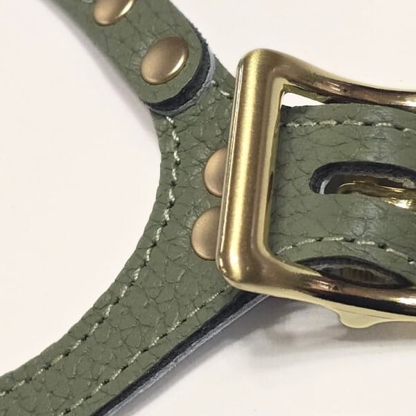 画像3: バディーベルトハーネス 6号 セージ・Sage・スワロフスキークリスタル付 (3)