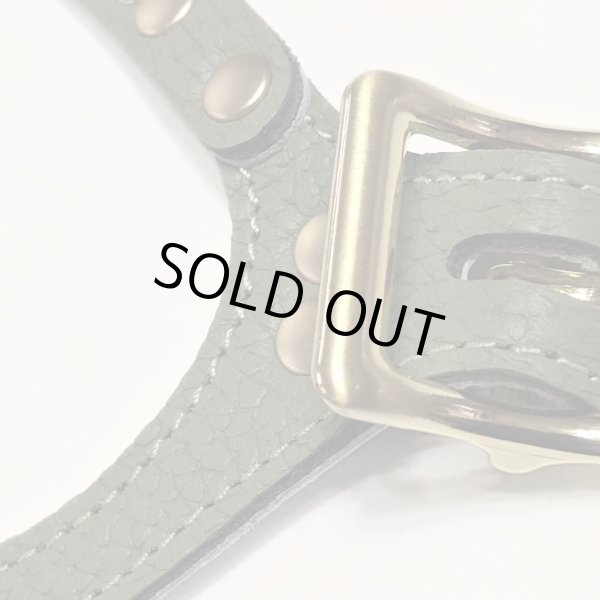 画像3: バディーベルトハーネス 7号 セージ・Sage・スワロフスキークリスタル付 (3)