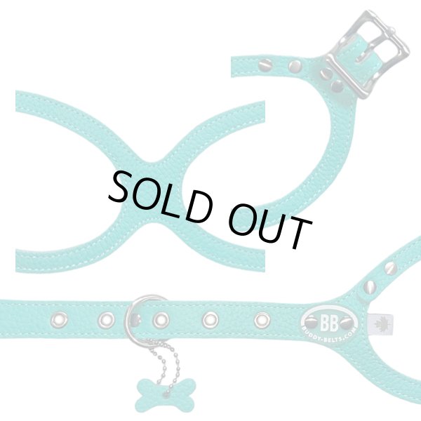 画像2: バディーベルト ハーネス 3.5号 ロビンズエッグブルー Robin's Egg Blue buddy-belts buddybelts バディーベルト卸販売 バディベルト卸販売 バディーベルト正規輸入代理店 正規店 (2)