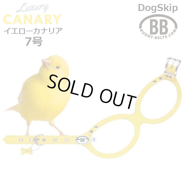 画像1: バディーベルト ハーネス 7号 カナリア（Canary） buddy-belts buddybelts (1)