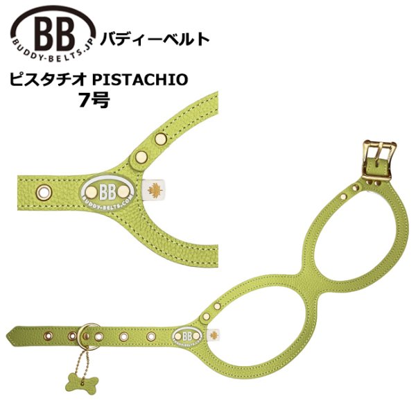 画像1: バディーベルトハーネス 7号 ピスタチオ・Pistachio (1)