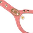 画像4: バディーベルトハーネス 3.5号 コーラルドリーム・CoralDream (4)