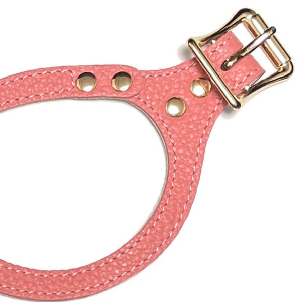 画像5: バディーベルトハーネス 3.5号 コーラルドリーム・CoralDream (5)