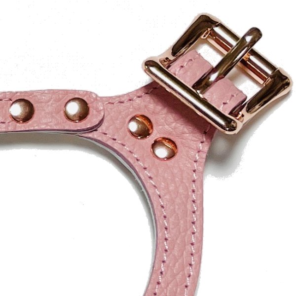 画像4: バディーベルトハーネス 7号 ブラッシュ・Blush (4)