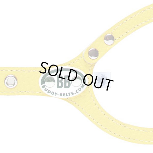 画像3: バディーベルト ハーネス 3号 カナリア(Canary) buddy-belts buddybelts (3)