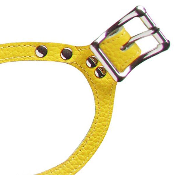 画像4: バディーベルト ハーネス 6号 カナリア(Canary) buddy-belts buddybelts (4)