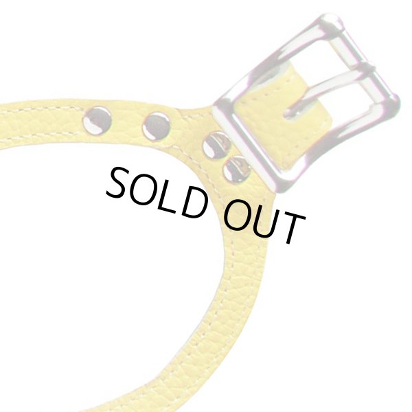 画像4: バディーベルト ハーネス 3号 カナリア(Canary) buddy-belts buddybelts (4)