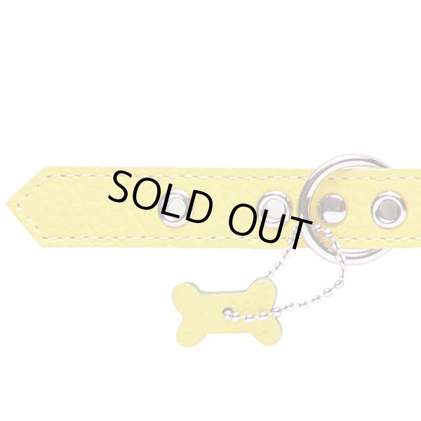 画像5: バディーベルト ハーネス 3号 カナリア(Canary) buddy-belts buddybelts (5)