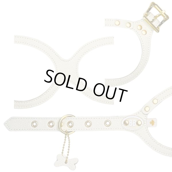 画像2: バディーベルトハーネス 4号 ミルクティー・MilkTea (2)