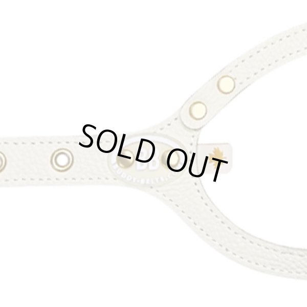 画像3: バディーベルトハーネス 4号 ミルクティー・MilkTea (3)