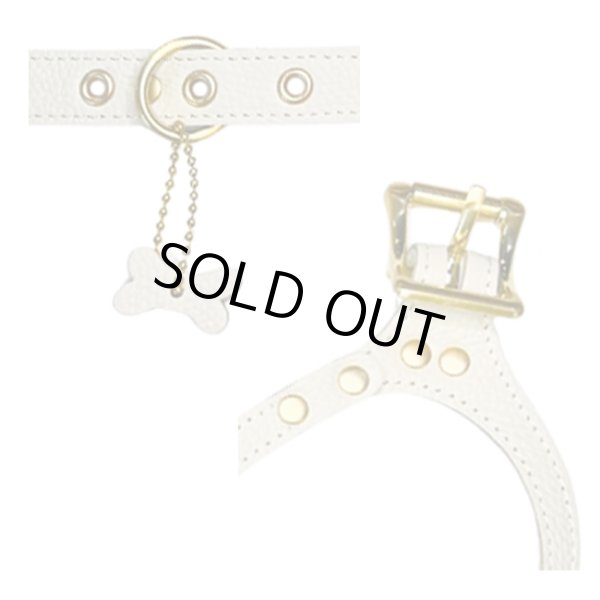 画像4: バディーベルトハーネス 4号 ミルクティー・MilkTea (4)