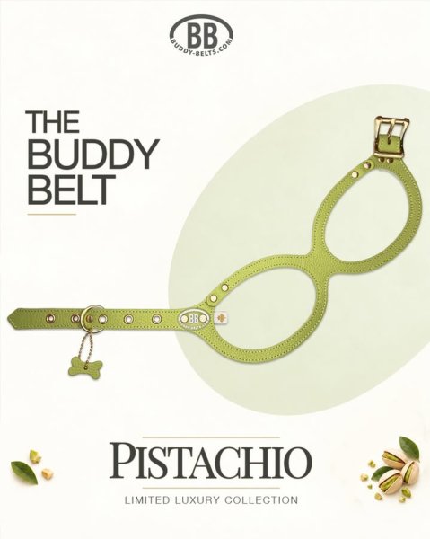 画像2: バディーベルトハーネス 4.5号 ピスタチオ・Pistachio (2)