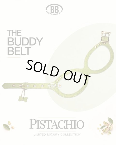 画像2: バディーベルトハーネス 1号 ピスタチオ・Pistachio (2)
