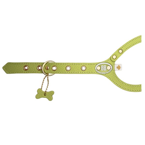 画像6: バディーベルトハーネス 4.5号 ピスタチオ・Pistachio (6)