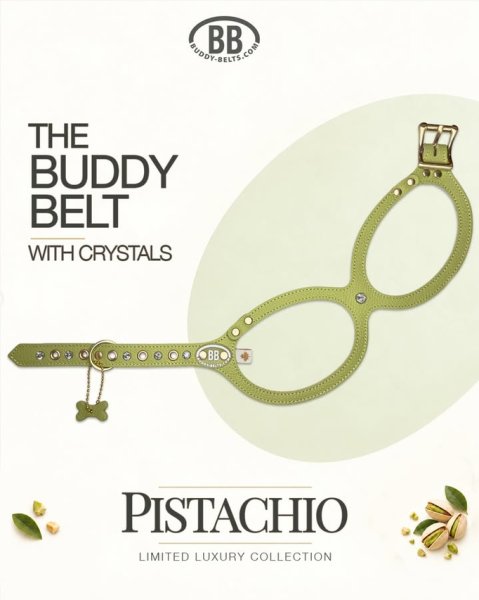 画像2: バディーベルトハーネス 3.5号 ピスタチオ・Pistachio スワロフスキークリスタル付 (2)