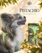 画像3: バディーベルトハーネス 2号 ピスタチオ・Pistachio スワロフスキークリスタル付 (3)