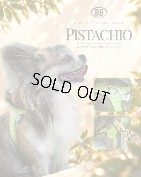 画像3: バディーベルトハーネス 2号 ピスタチオ・Pistachio スワロフスキークリスタル付 (3)
