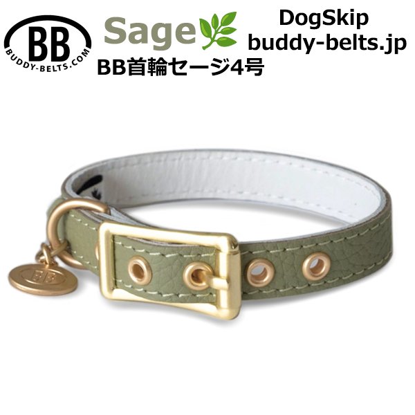 画像1: BB 首輪 セージ Sage 4号 (1)