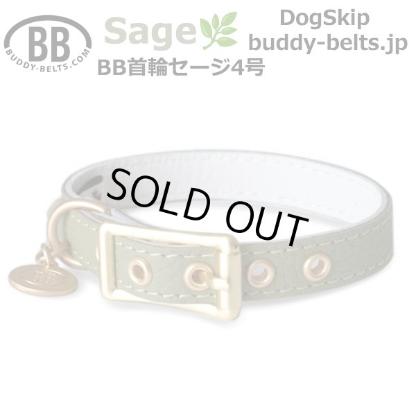 画像1: BB 首輪 セージ Sage 4号 (1)