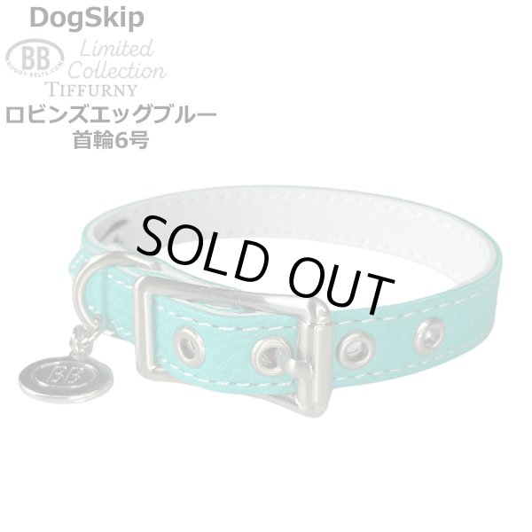 画像1: BB 首輪 ロビンズエッグブルー 6号 Robin's Egg Blue ID カラー バディーベルト buddybelt バディベルト (1)