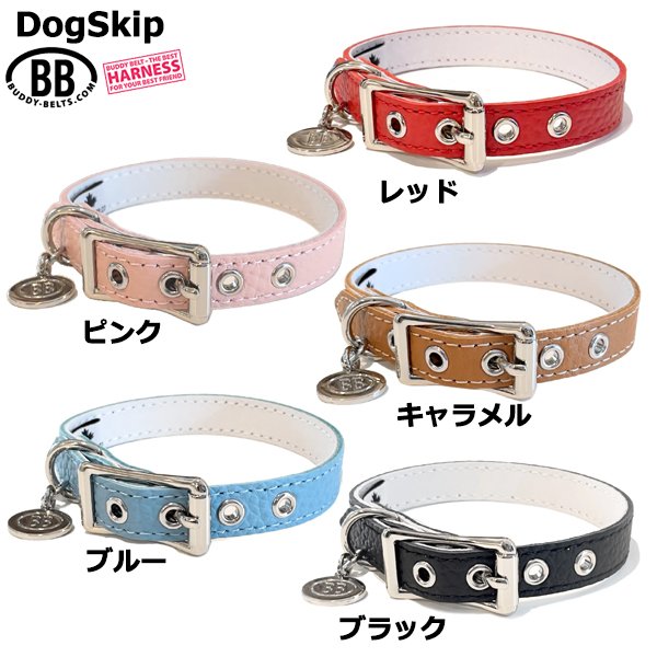 画像2: BB ID 首輪 1号 カラー バディーベルト buddybelt バディベルト Buddy Belts ID Collar (2)