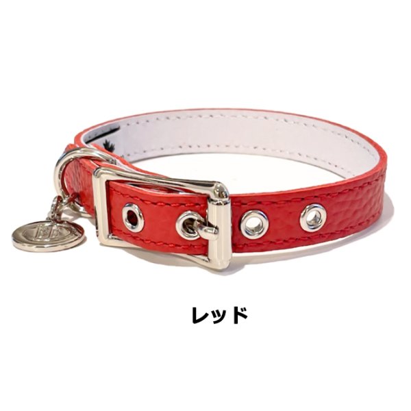 画像3: BB ID 首輪 1号 カラー バディーベルト buddybelt バディベルト Buddy Belts ID Collar (3)