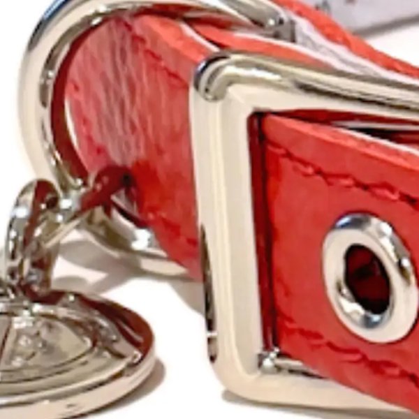 画像4: BB ID 首輪 1号 カラー バディーベルト buddybelt バディベルト Buddy Belts ID Collar (4)