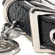 画像6: BB ID 首輪 7号 カラー バディーベルト buddybelt バディベルト Buddy Belts ID Collar (6)