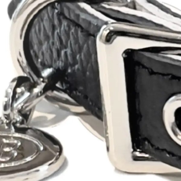 画像6: BB ID 首輪 1号 カラー バディーベルト buddybelt バディベルト Buddy Belts ID Collar (6)