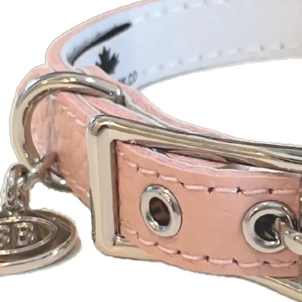 画像8: BB ID 首輪 1号 カラー バディーベルト buddybelt バディベルト Buddy Belts ID Collar (8)