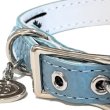 画像10: BB ID 首輪 7号 カラー バディーベルト buddybelt バディベルト Buddy Belts ID Collar (10)