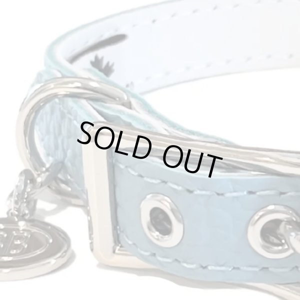 画像10: BB ID 首輪 7号 カラー バディーベルト buddybelt バディベルト Buddy Belts ID Collar (10)